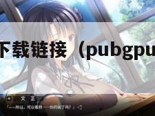 地铁逃生下载链接（pubgpubg国际服下载）