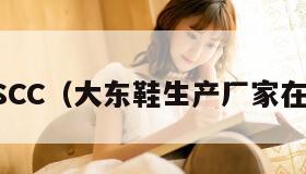 DDXSCC（大东鞋生产厂家在哪里）