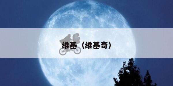 维基（维基奇）