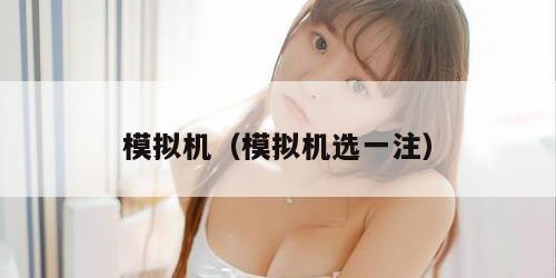 模拟机（模拟机选一注）