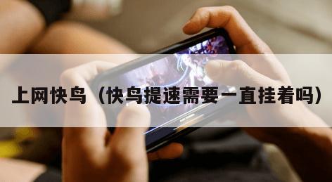 上网快鸟（快鸟提速需要一直挂着吗）