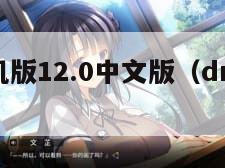 dnf单机版12.0中文版（dnfq单机版下载）