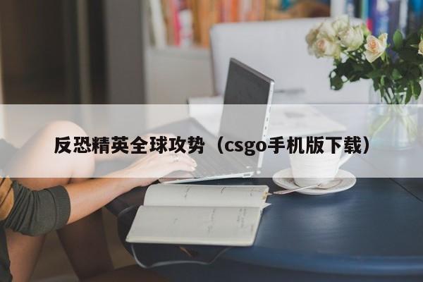 反恐精英全球攻势（csgo手机版下载）