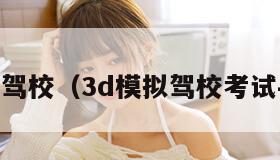 3d模拟驾校（3d模拟驾校考试手机版）