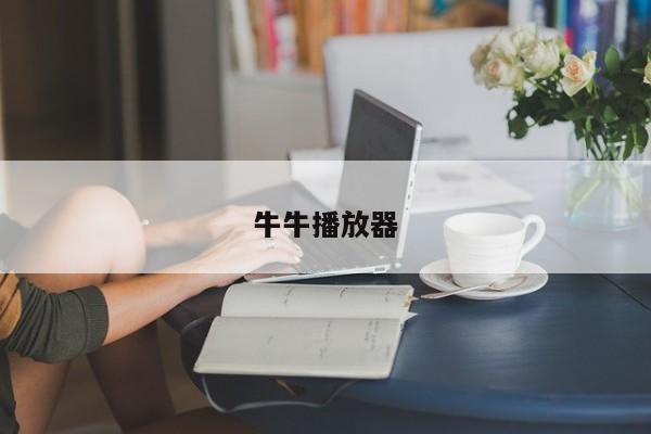 牛牛播放器