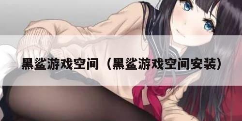 黑鲨游戏空间（黑鲨游戏空间安装）
