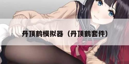 丹顶鹤模拟器（丹顶鹤套件）