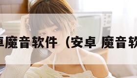安卓魔音软件（安卓 魔音软件）