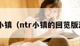 ntr小镇（ntr小镇的回览版游戏）