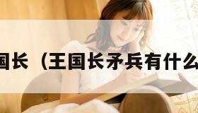 王国长（王国长矛兵有什么用）